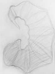 marcel peltier, cocoon, studie, 2007