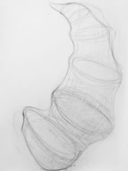 marcel peltier, cocoon, studie, 2007